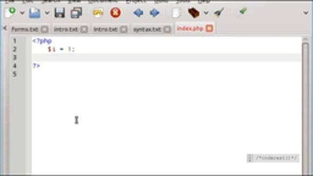 PHP Basic Syntax : PHP Tutorial