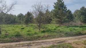 Продам свой массив сх участков площадь 38га в д.Овцыно Владимирской области в окружении леса у реки