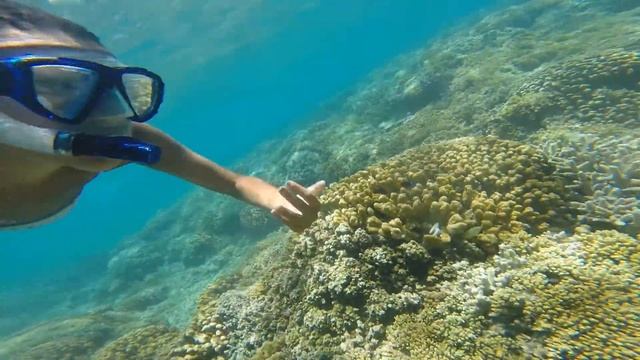 H O M E смотреть онлайн