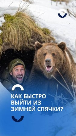 Весенний буст: простые шаги к активности