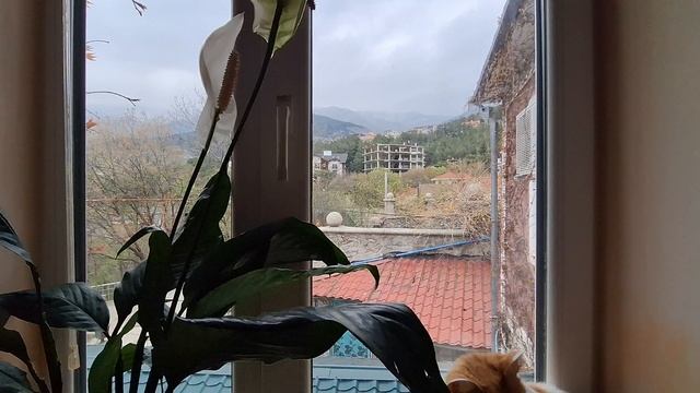 Чем занимаюсь, впрочем как  всегда, уборка,на улице  дождь ☔️
