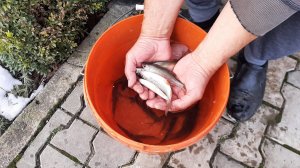 Зимняя рыбалка 2025