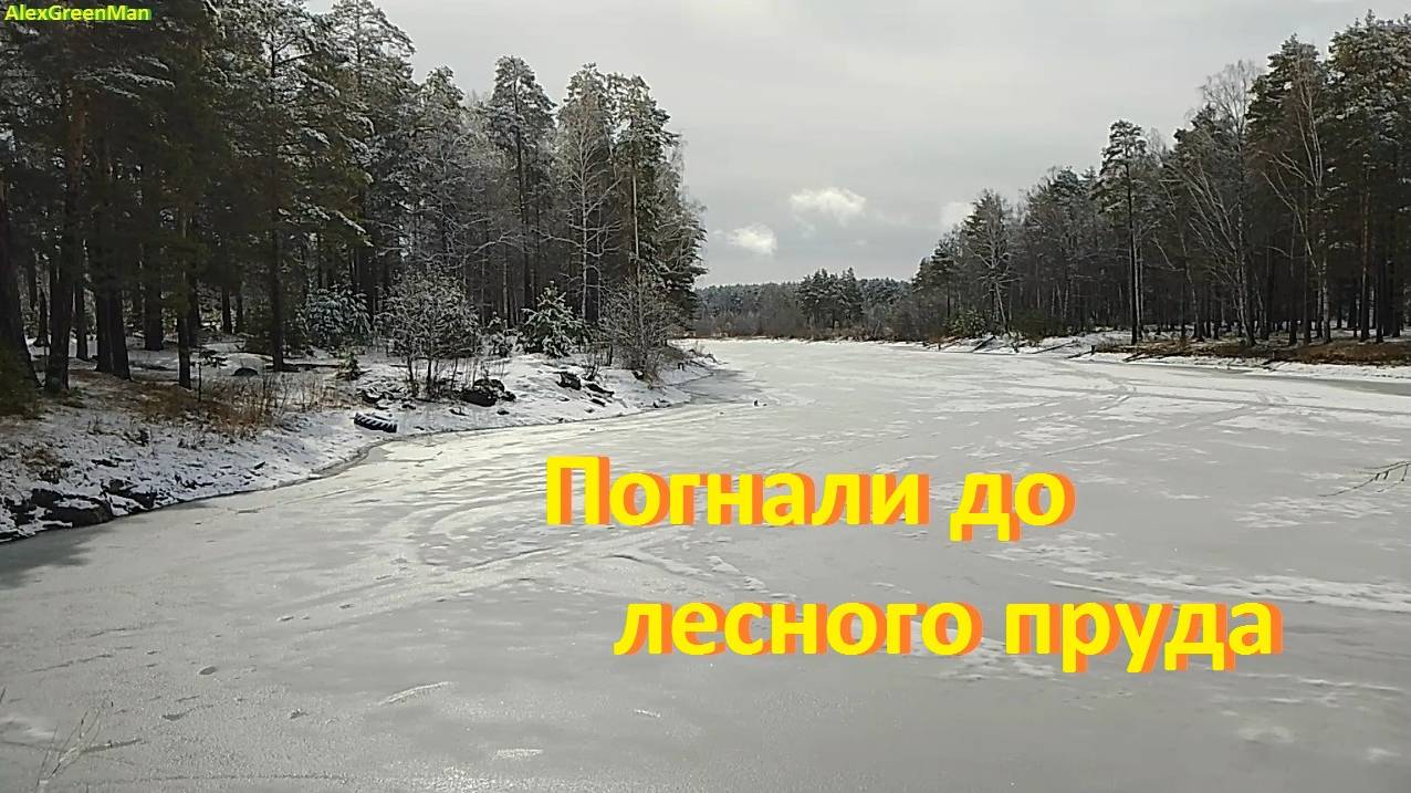 Погнали до лесного пруда