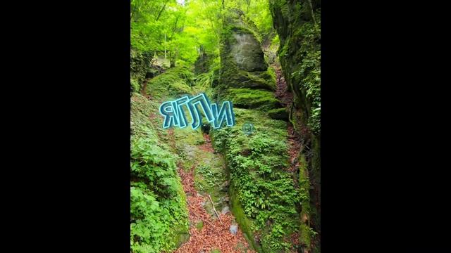 Самые странные гибриды животных 🌍💙🌾!!!!!