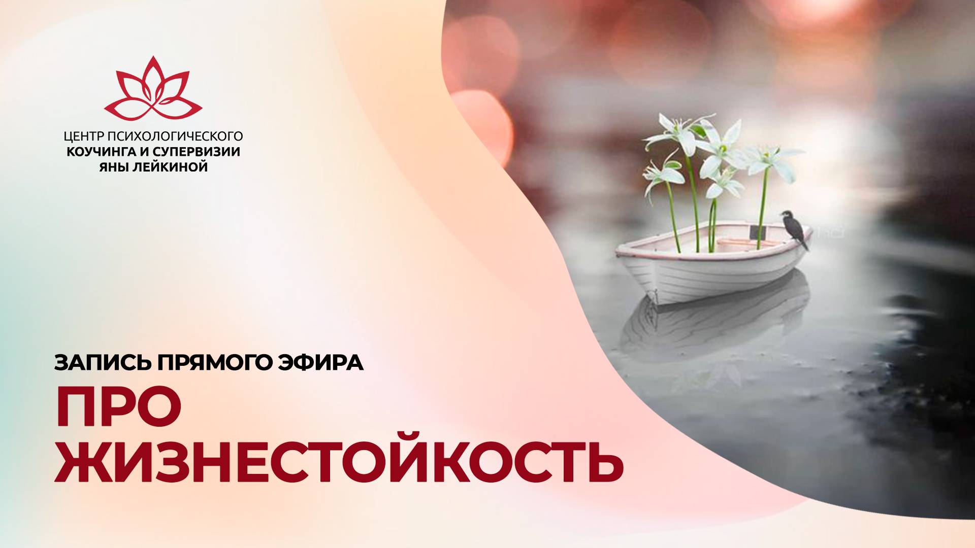 Про жизнестойкость. Запись прямого эфира Яны Лейкиной