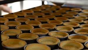 Отсадочно-формовочный комплекс для производства тарталеток SPARTA GT-1800: отзыв клиента