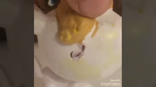 Коллекция моих ооаковПончик Жулик