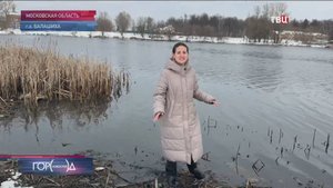 Мертвая рыба в черной воде: две подмосковные реки стали жертвами нечистот / Город новостей на ТВЦ