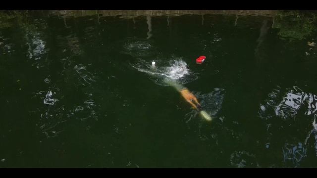 Liberec Underwater Orienteering 2020