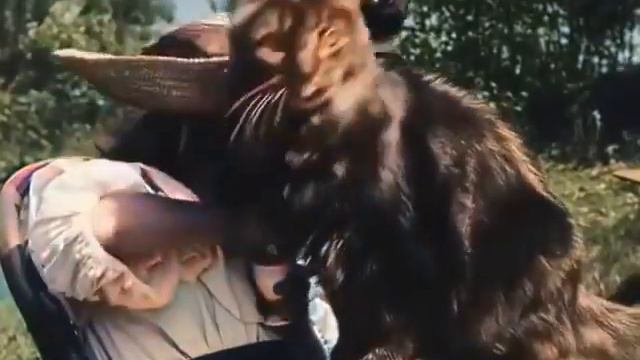 Самое первое видео первое видео в истории с кошкой 1899 года, First video in the world смотреть онлайн