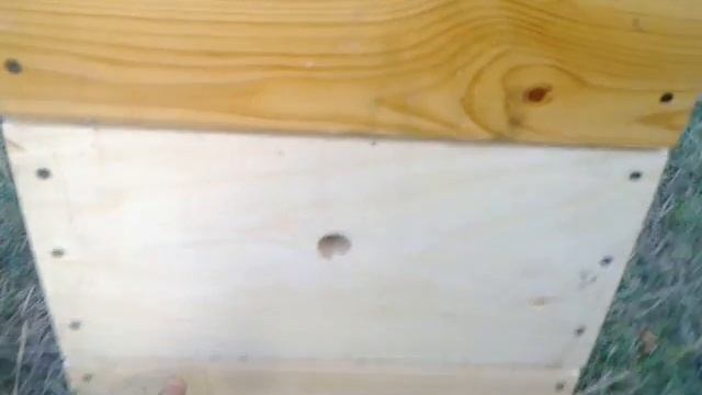 Пересадка пчелосемьи. часть 1 смотреть онлайн