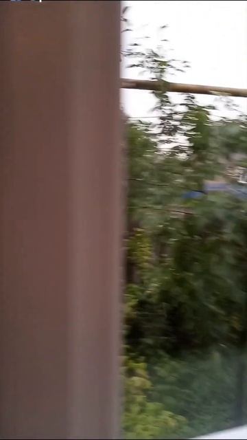 18 июля 2023 г. смотреть онлайн