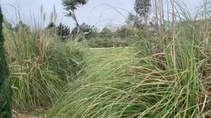 Прекрасный орнитологический парк
