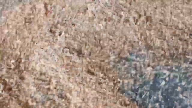 видео рассева отрубей на вибросите ВС-10 Вибромаш Vibromash.com, 8-800-500-40-02, 8-902-333-99-69-7 смотреть онлайн