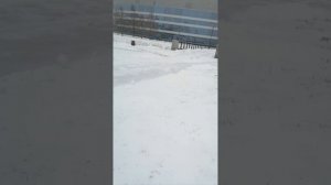 Ска кругоять