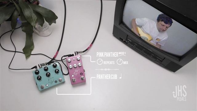 COMBOS: Pink Panther and Panther Cub