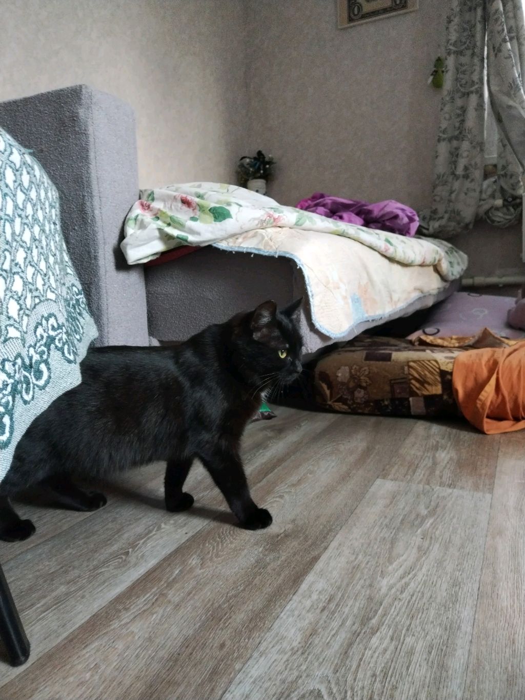 Моя сестра