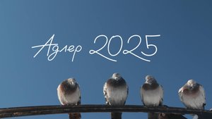 Адлер февраль 2025