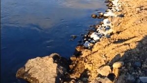 Рефтинское. Рыбалка на летнюю удочку в начале апреля .