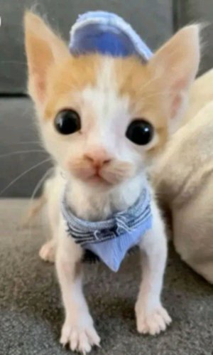 Дискотека с подругой:)