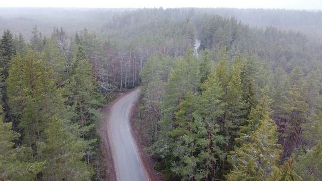 Winter forest in Russia. Flight through the fog and rain. смотреть онлайн