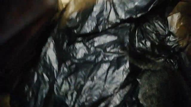 Шуршащая игрушка. смотреть онлайн