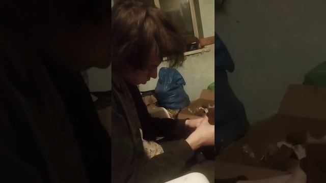 создание оружие из подручных средств