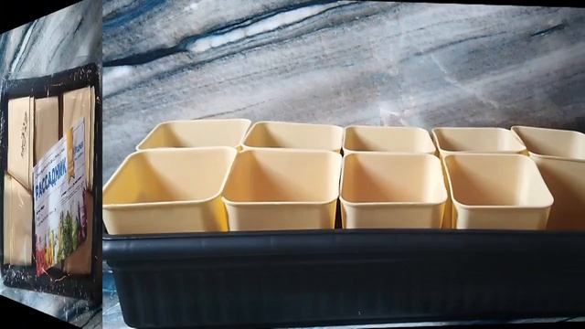 🌱Весне - дорогу!🌱Пикируем перчики🌱Советы непрофессионала🌱 смотреть онлайн