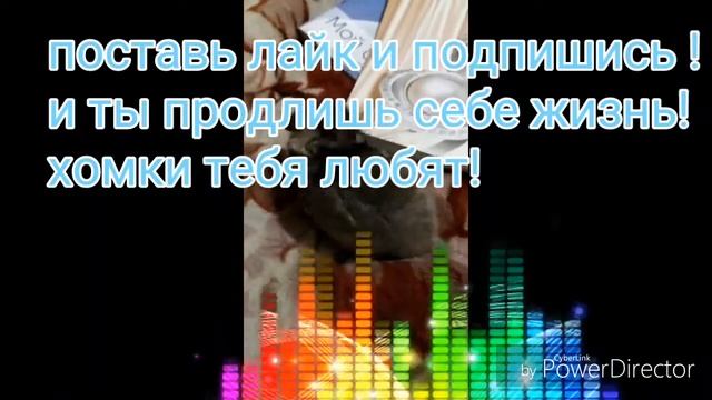 Ивангай-хочу сказать тебе сказать+хомяки смотреть онлайн