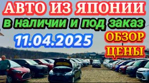 Авто из Японии под Заказ и в Наличии Авторынок Новый Обзор Цены Кей Кары Хэтчбеки Минивэны Кроссовер
