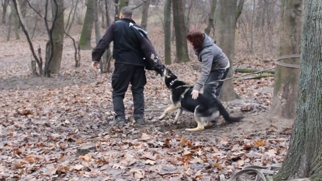 Тайна Форт Аданте. Тренировка в ШОС "АРЕС" 26-27.12.15. смотреть онлайн