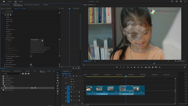 Test nhanh Look Designer của ColourLab AI | Free License Key trong phần mô tả! смотреть онлайн