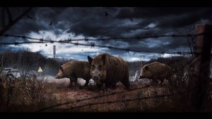 ИГРАЕМ В ДЭЙЗ 💥 ОХОТА НА КАБАНОВ #dayz