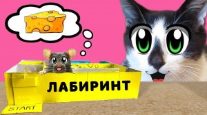 ЛАБИРИНТ для МЫШКИ СВОИМИ РУКАМИ! Как сделать ЛАБИРИНТ | А ну-ка давай-ка