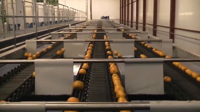 Linea di lavorazione e calibratura per Mandarini - UNITEC смотреть онлайн