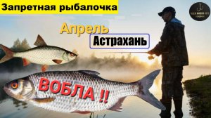 🔥Бешенный КЛЁВ!!🌟 жырная воблочка прёт на Волге!!!!! Астраханские Диалоги о рыбалке в АПРЕЛЕ!!