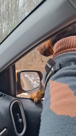 на дачу
