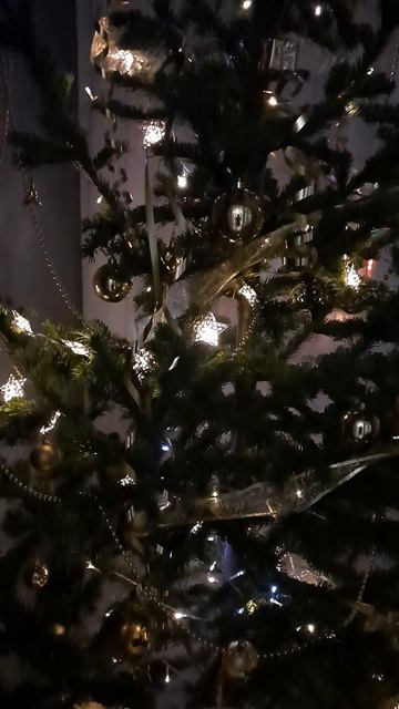 20210205_221254 Елочка смотреть онлайн