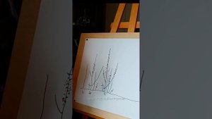 Крыжовник. Формирование молодого куста.