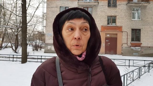 Муниципалы МО Сампсониевское установили 41 ёлочку за 120 тысяч каждую