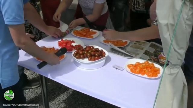 🍅Pertanian tomat modern yang mahal di rusia смотреть онлайн