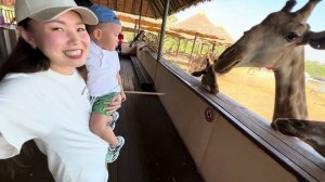 Зимовка 2023 | Часть 6. Пхукет-Бангкок. Avani Plus Riverside Bangkok Hotel. Safari World Bangkok.