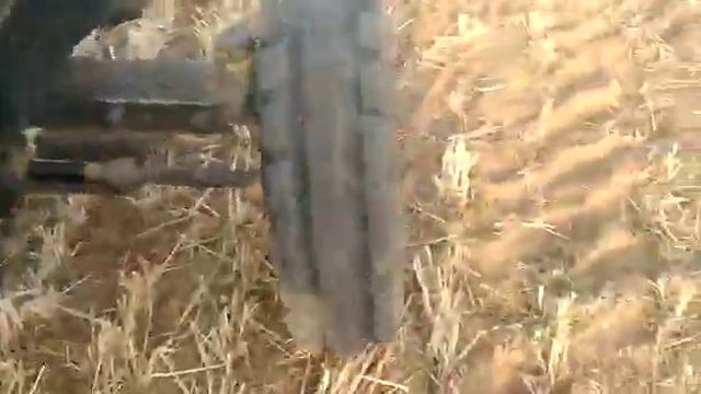 Dass 86 Haramba Thresher, Sirsa #machine #agriculture #2021 #model ph. number 9416258058, 981355330