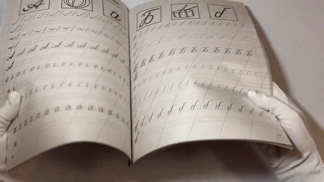 Тренажер по письму: вырабатываем автоматические навыки. 700 упражнений
