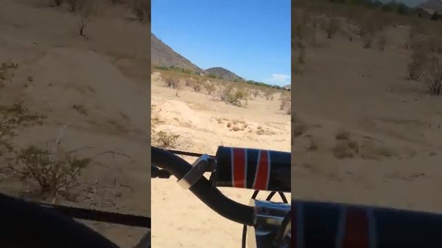 Evo 2x big gas powered scooter riding смотреть онлайн