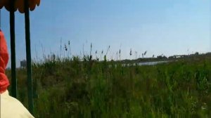 На трамвайчике по Благовещенской.После урагана...