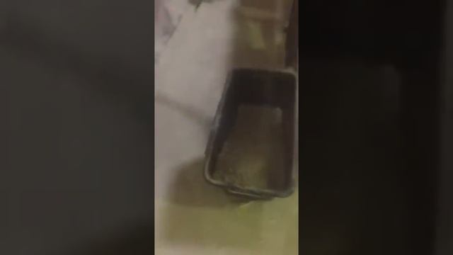 Вибросито ВС 5-360p смотреть онлайн