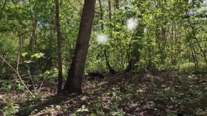 Лайтболы, световые аномалии во 2 секторе на Машино!