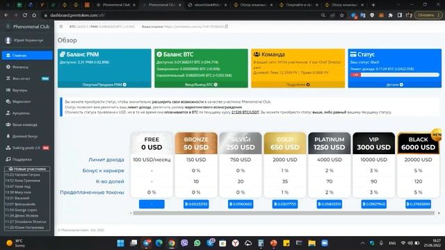 Как стать профессионалом своего дела в Phenomenal club 25.08.2022 смотреть онлайн