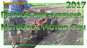 ➤первое окучивание картофеля, мотоблок Мотор Сич МБ-6